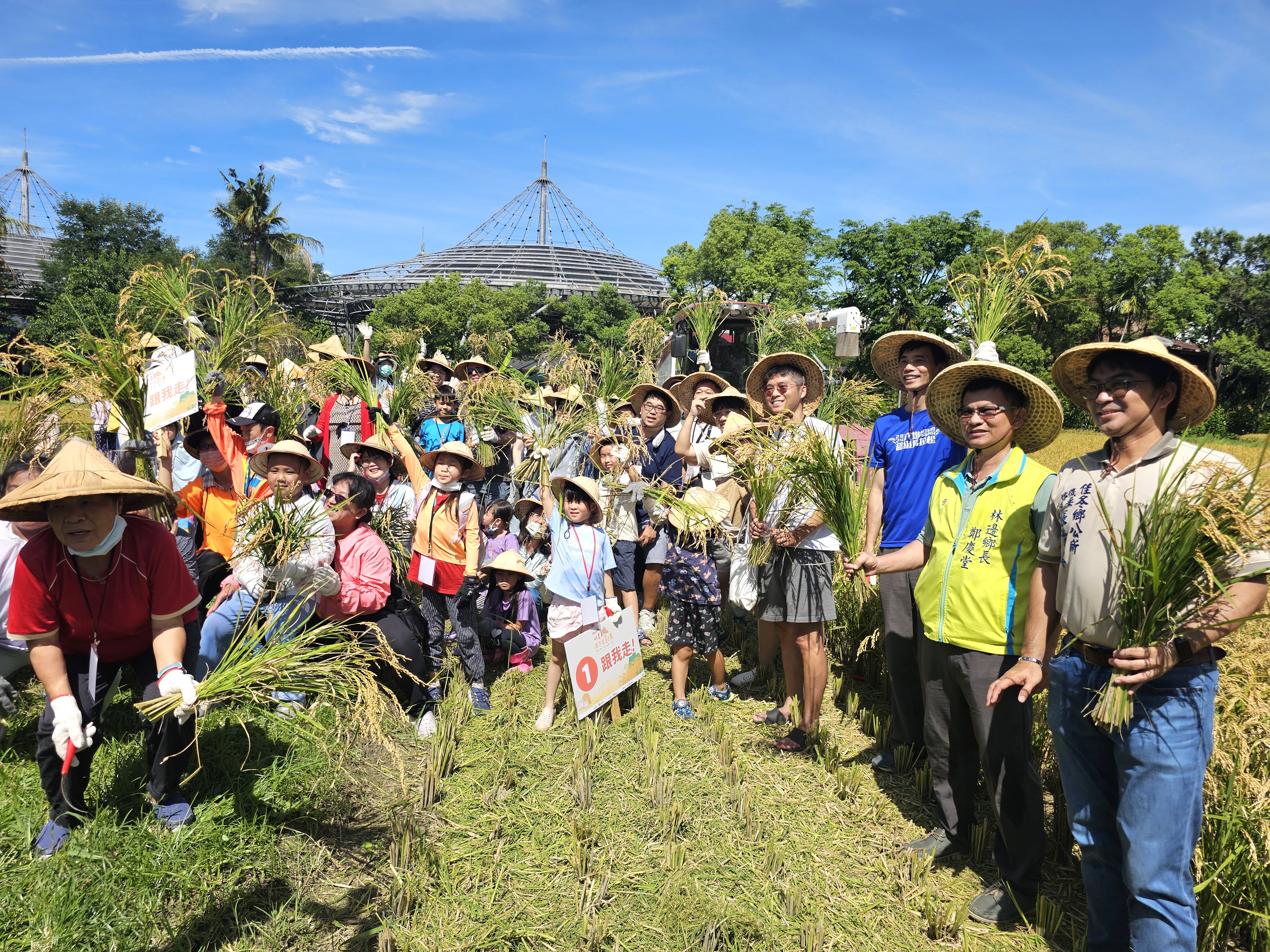 六堆黃金稻穗糯米大豐收,參與民眾手持稻穗大合影