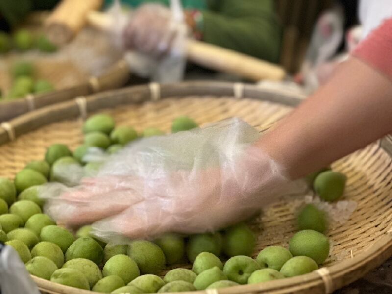 脆梅製作_圖片取自農村小童