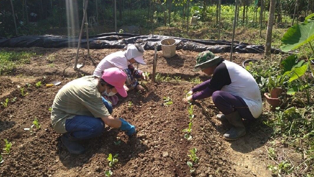 (圖片來源lFB 臺北市松山區農會)