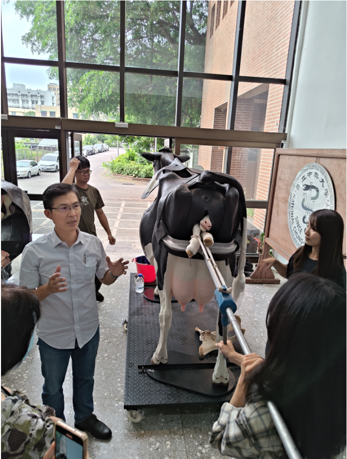 陳鵬文副院長介紹乳牛助產