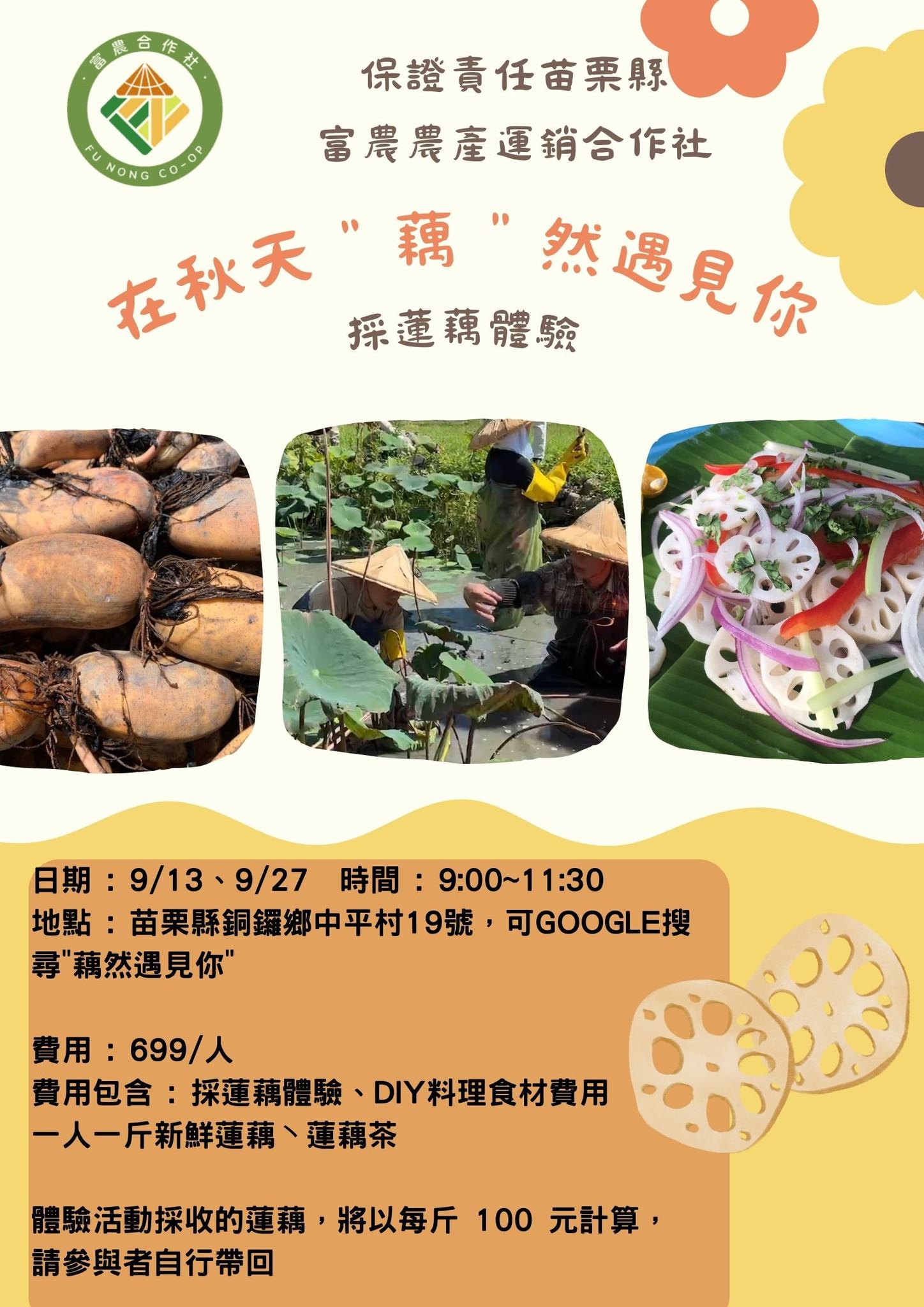在秋天藕然遇見你_取自2024銅鑼杭菊生活節活動-富農農產運銷合作社FB
