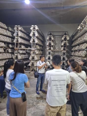 活動以「苦盡甘來遇見菇」為主題