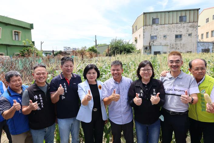 北溪玉米文化節登場