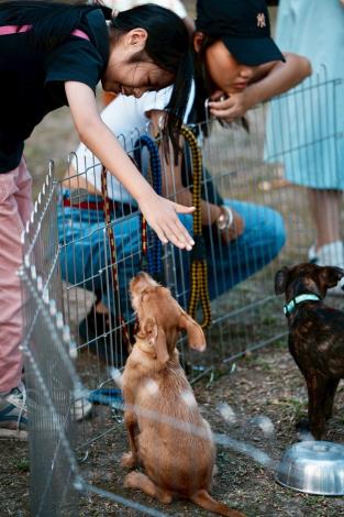 透過友善、自然與動物的溫柔連結