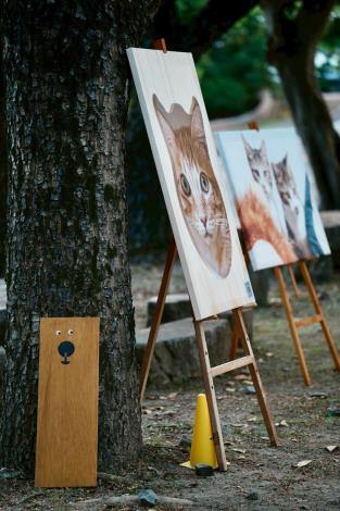 透過友善、自然與動物的溫柔連結