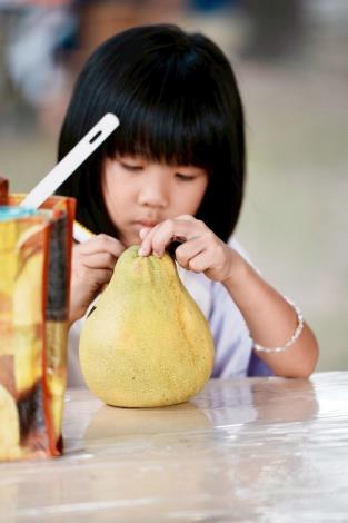 現場文旦柚彩繪活動