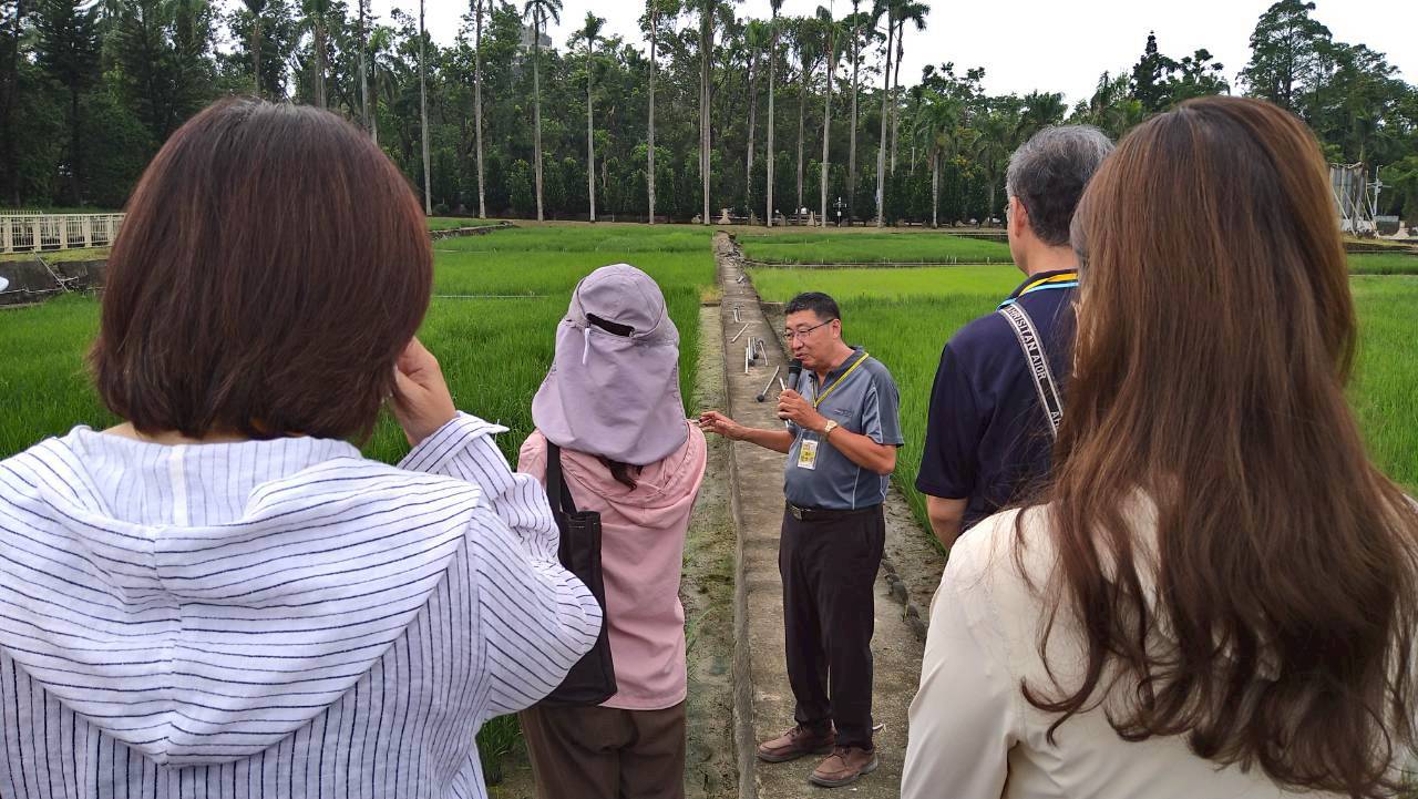 講師說明水稻育種過程