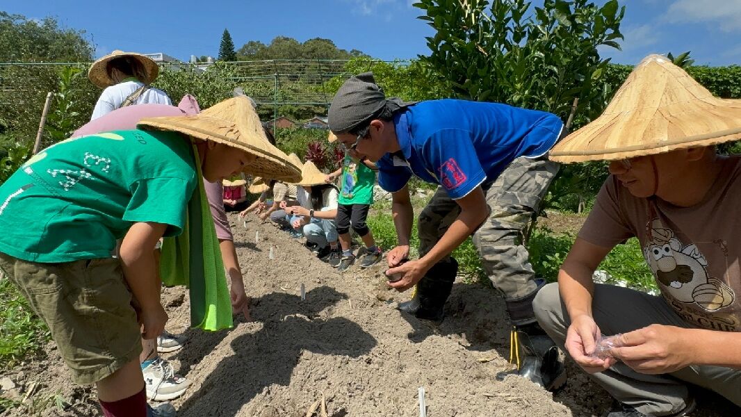 小小種子到蘿蔔王_種蘿蔔，一起來！_由桃園市楓茶米休閒農業發展協會提供