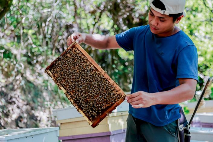從蜂場的生態教育出發,並參與孵雞蛋等農事體驗