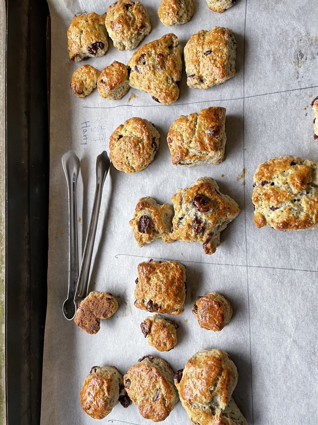 烤好的司康帶有洛神花香與鬆軟口感令人食慾大開