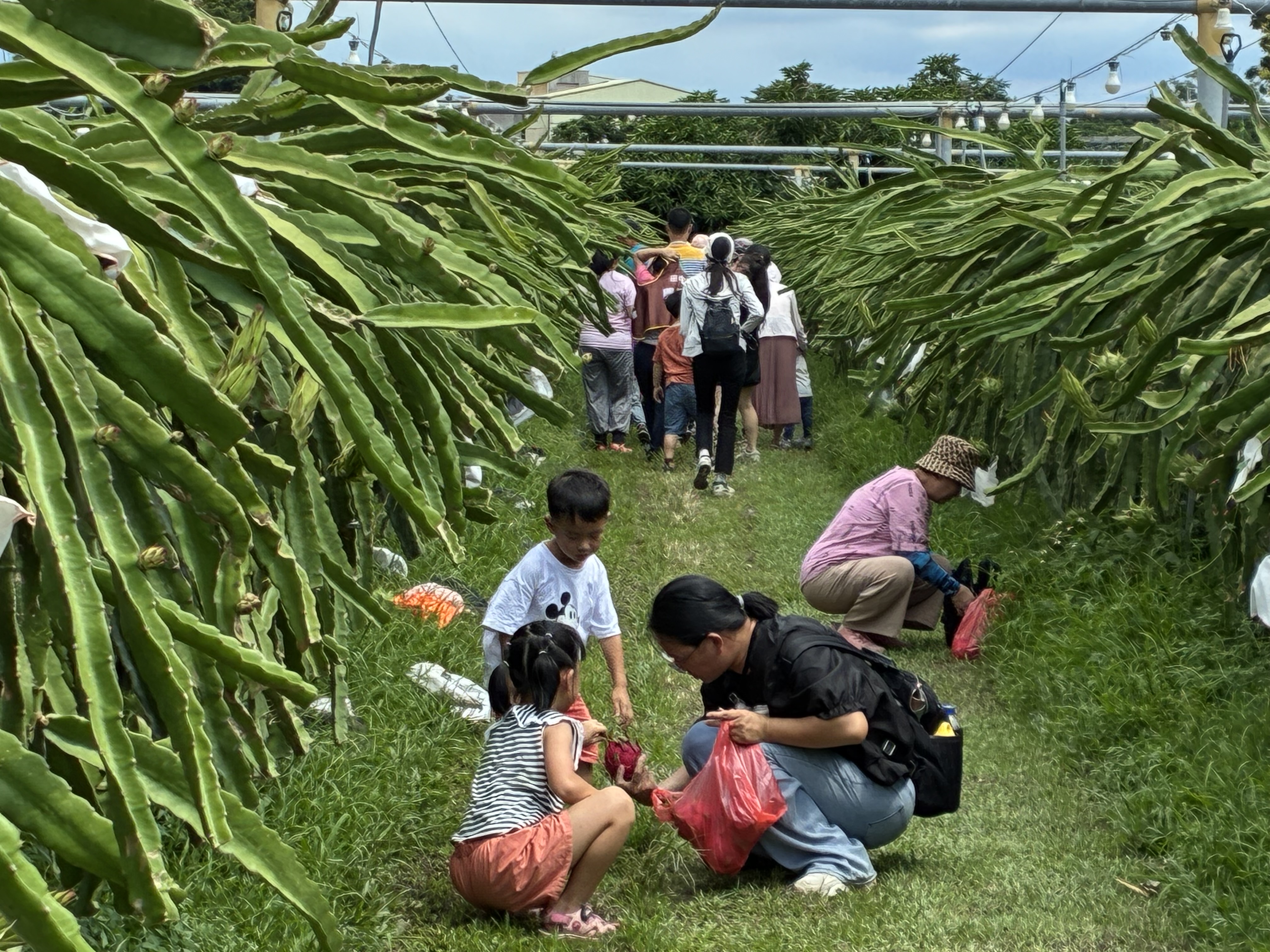 D0B12F36-3187-4CBF-97CE-71243451CB54