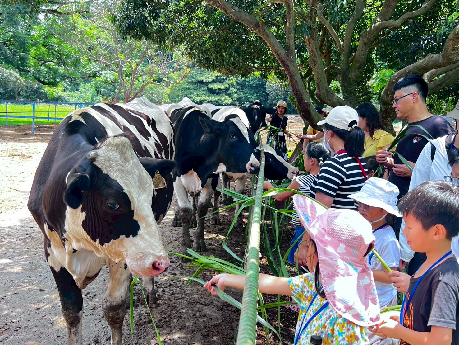 LINE_ALBUM_202575半線乳香甜蜜牧場遊_250708_20