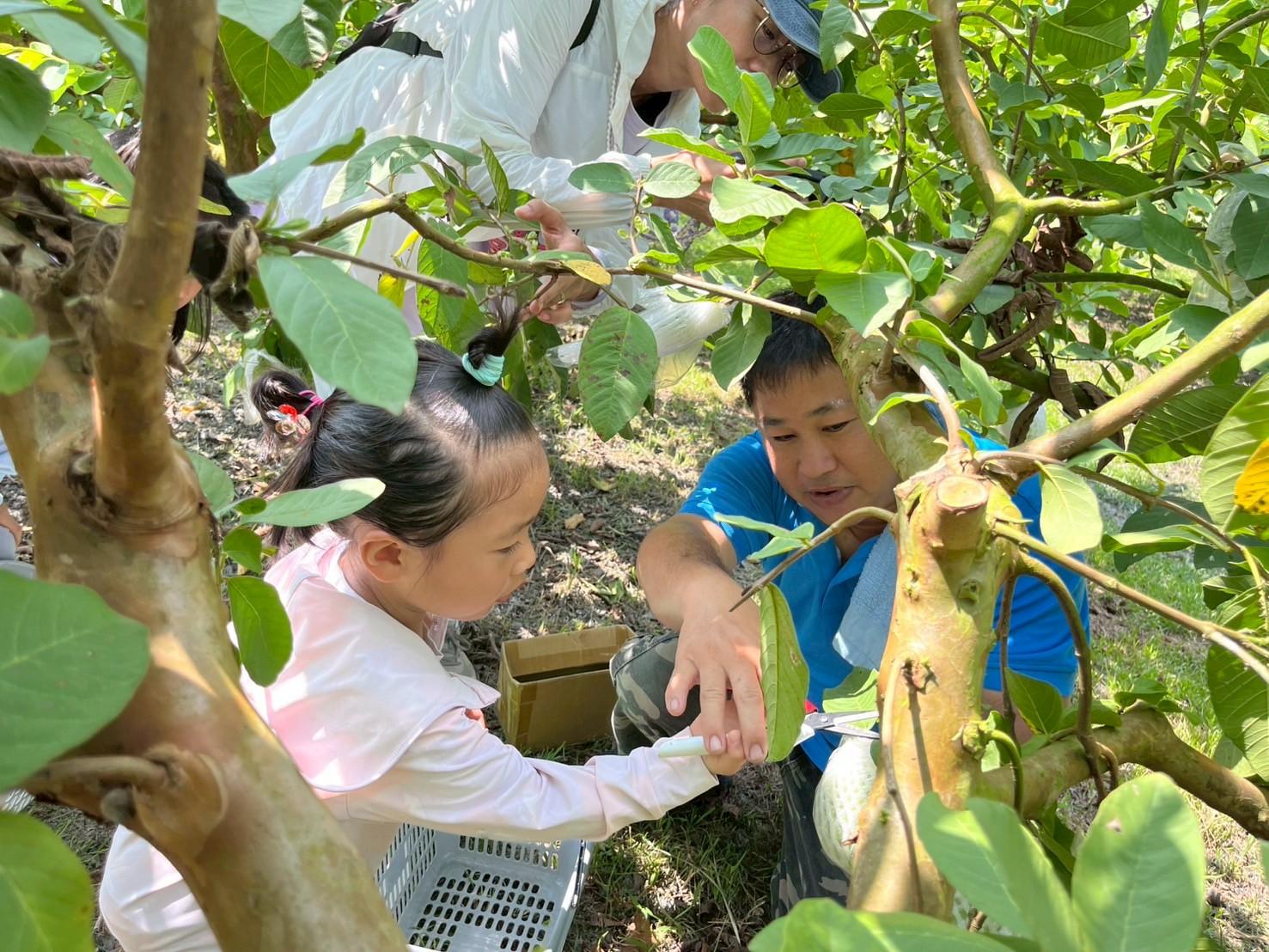 LINE_ALBUM_0913食農教育_250916_8