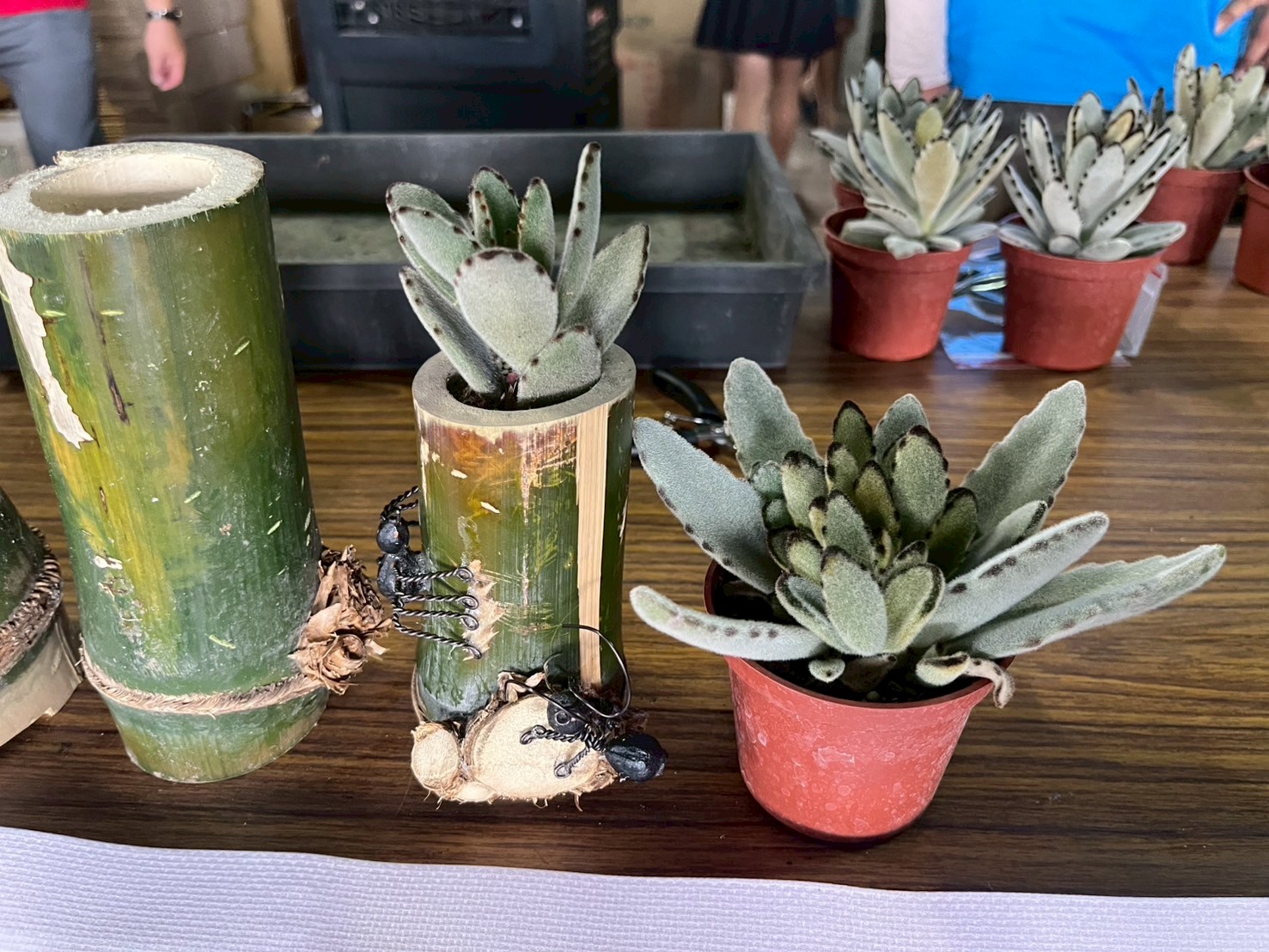 LINE_ALBUM_0913食農教育_250916_40