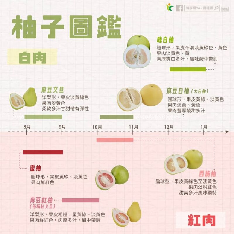 一張圖帶你搞懂臺灣 #柚子 產期與品種
