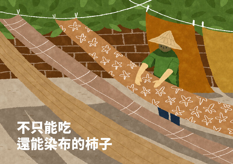 不只能吃還能染布的柿子