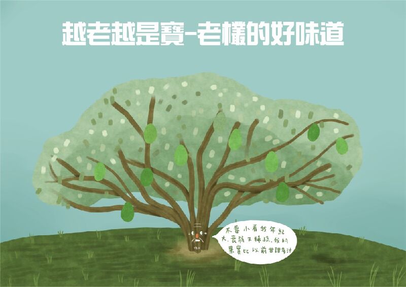 越老越是寶-老欉的好味道