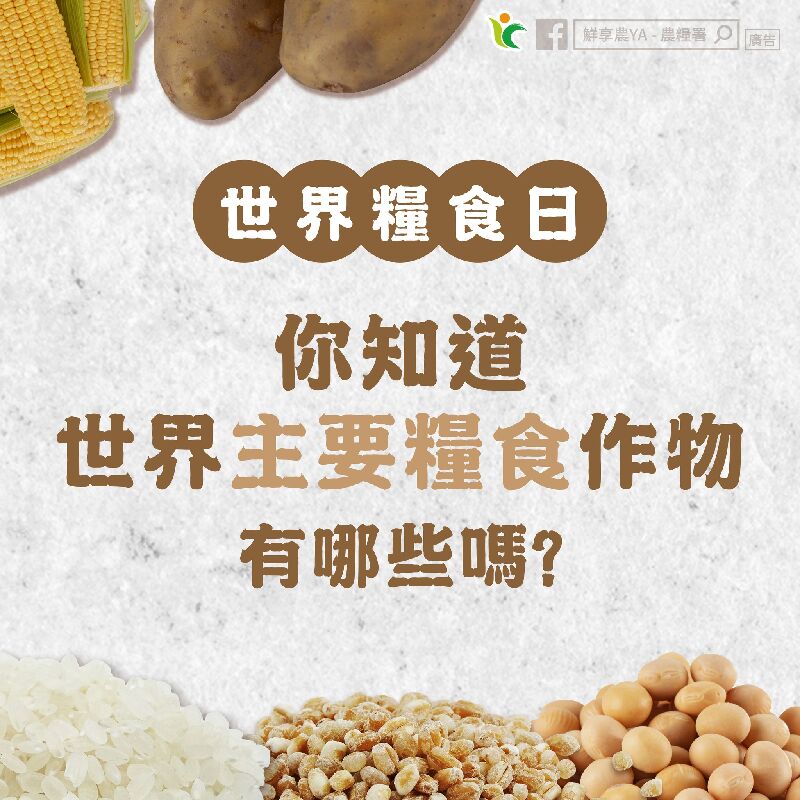 你知道世界主要糧食作物有哪些嗎?