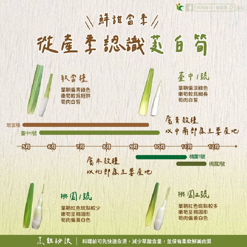 鮮甜當季 帶你從產季認識茭白筍
