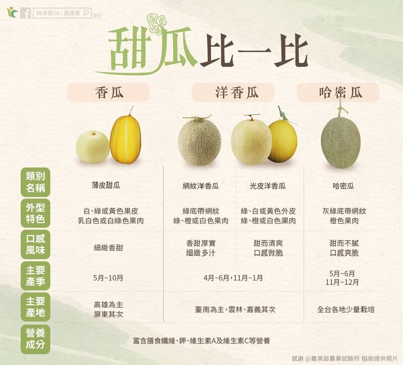 甜瓜家族比一比