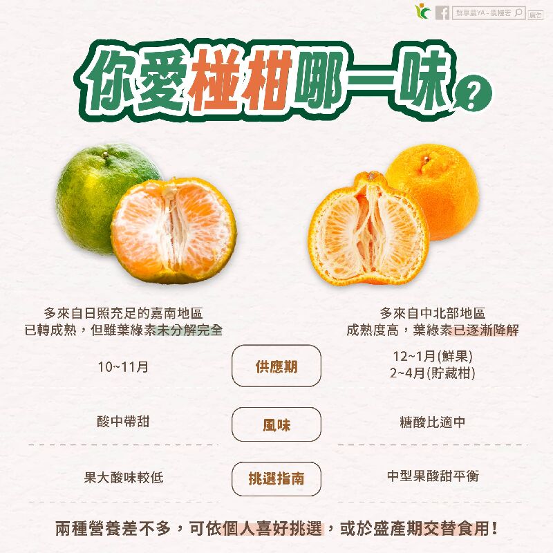 你愛椪柑哪一味？