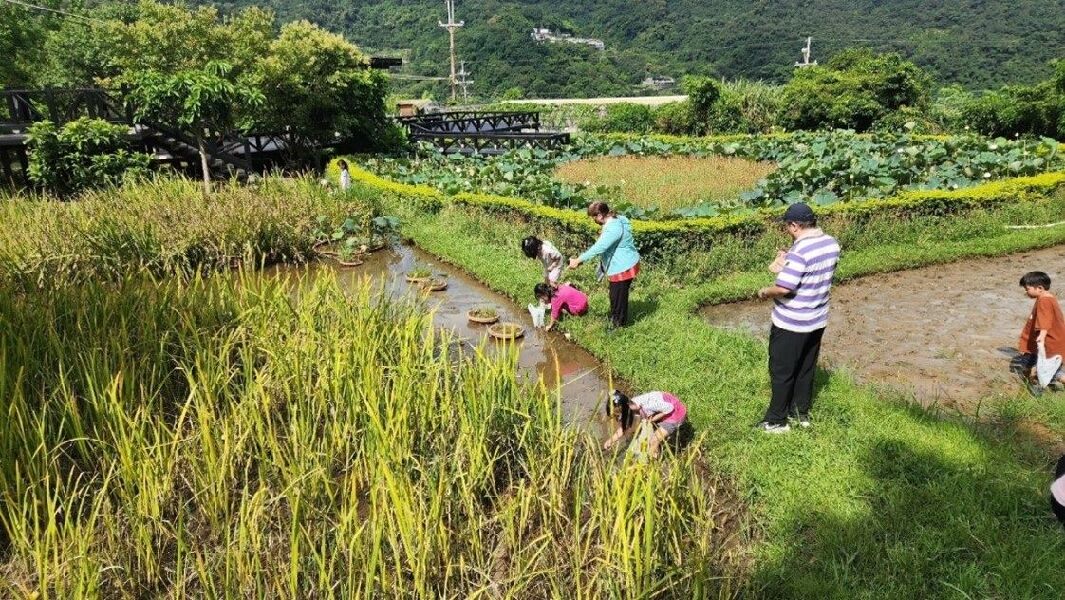 野草花果有機農場｜在城市近郊，找回與土地的連結