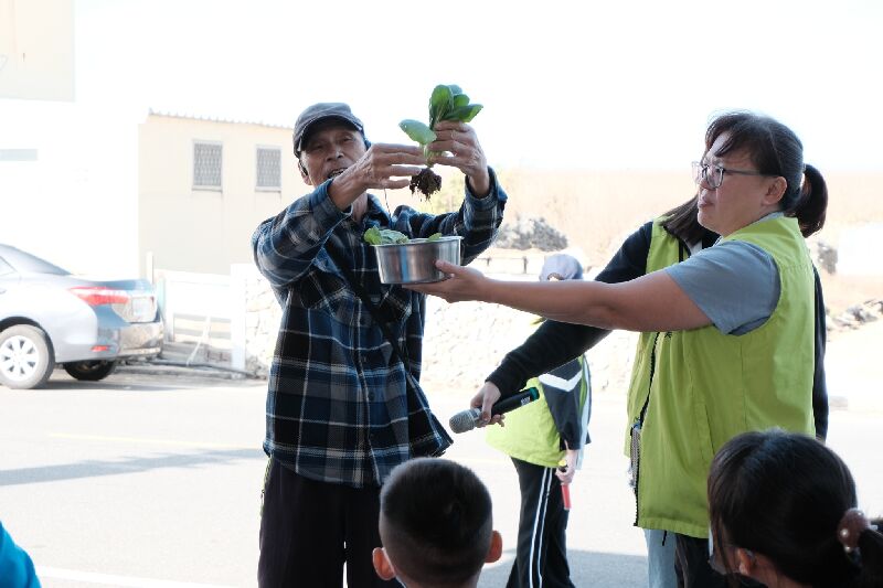 南寮風車農場主人趙嘉協(澎湖好農)解說拔菜小技巧
