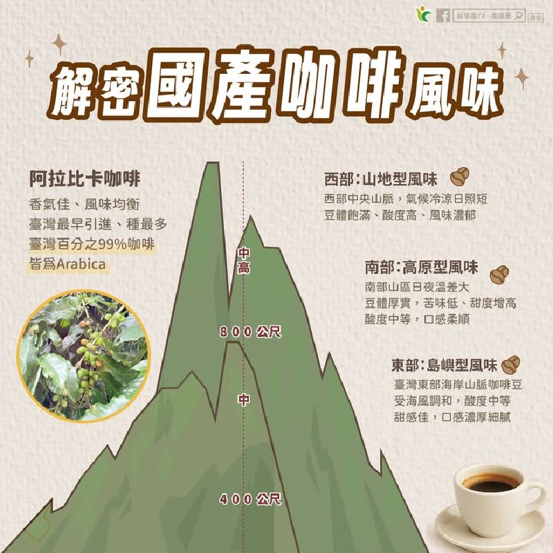 一張圖帶你～解密 #國產咖啡 風味