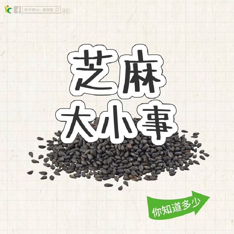 你吃過芝麻糊、芝麻糖和芝麻冰淇淋