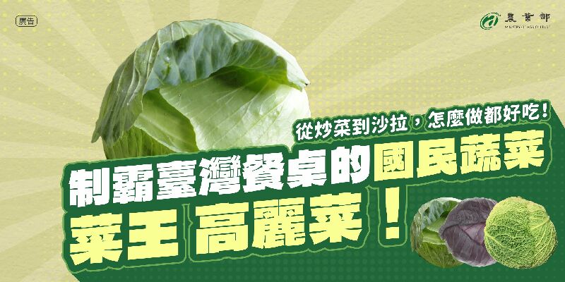 臺灣餐桌最常見的菜王，高麗菜！清炒到沙拉，怎麼吃都好吃！