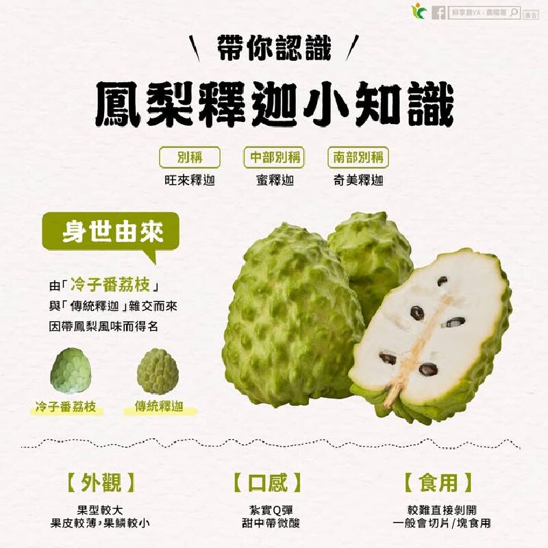 「鳳梨釋迦」和「鳳梨」有關係嗎