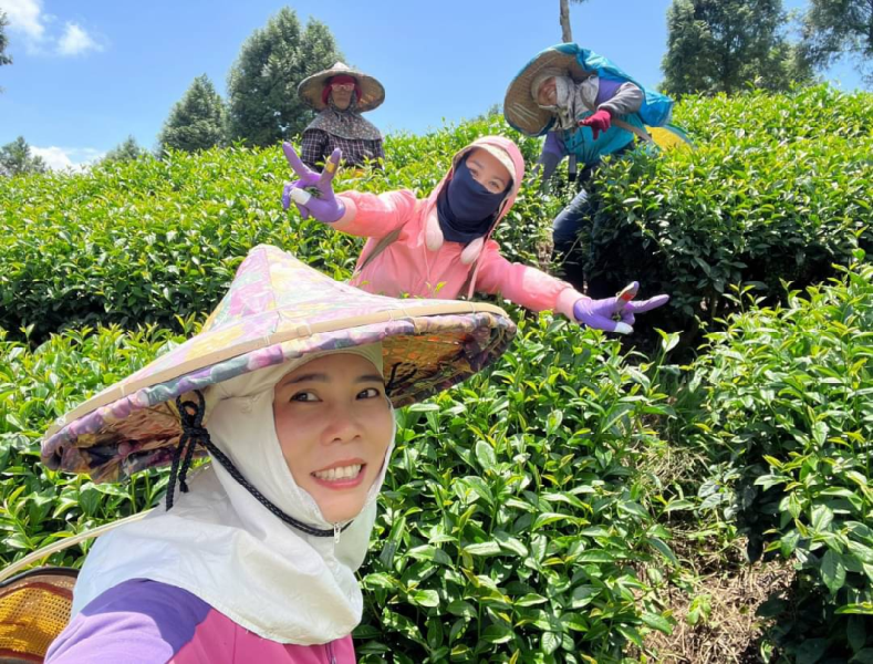花蓮縣第四屆體驗活動金質獎_赤科農務企業社-一片茶的旅行_主辦單位提供