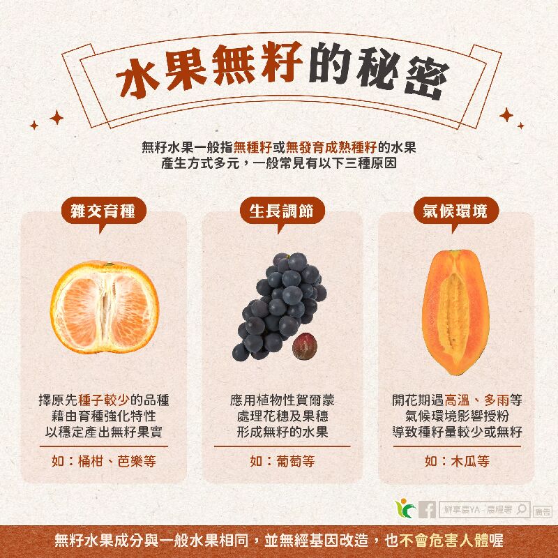 水果無籽的秘密