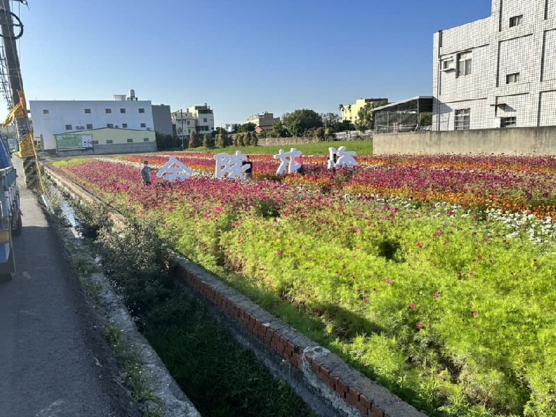 2026金陵風箏花海節_取自彰化縣秀水鄉金陵社區發展協會FB