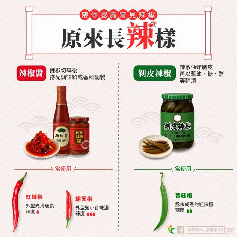 帶你認識料理背後的「辣椒原型」