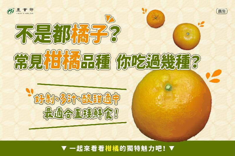 常見柑橘品種 你吃過幾種？