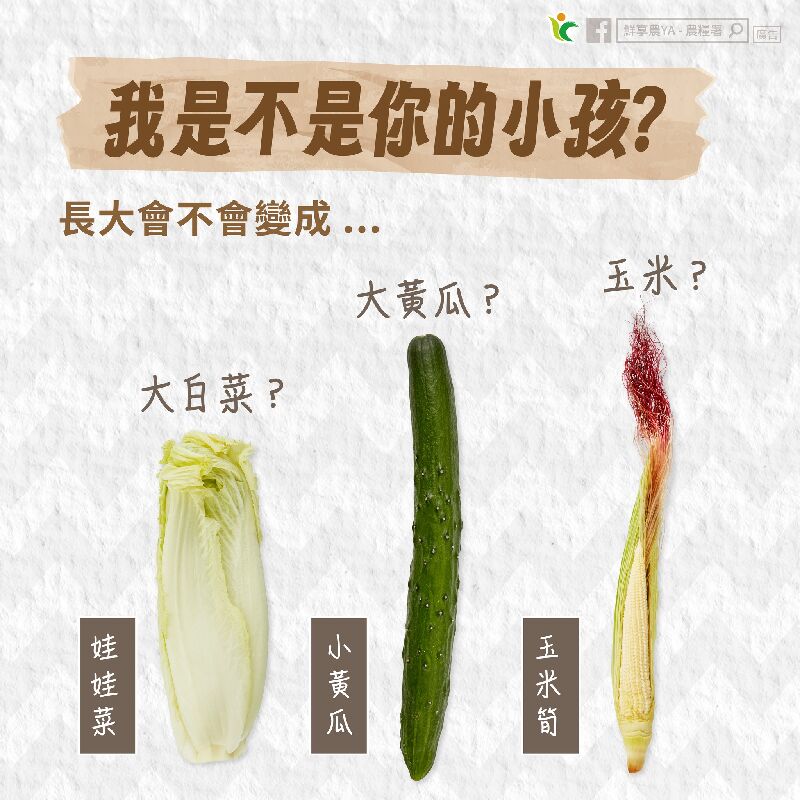 我是不是你的小孩？