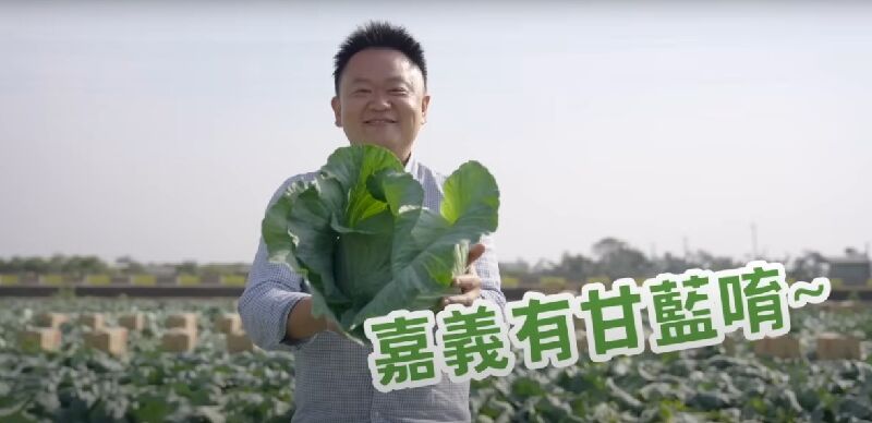 甘藍的故事 走進你的三餐日常