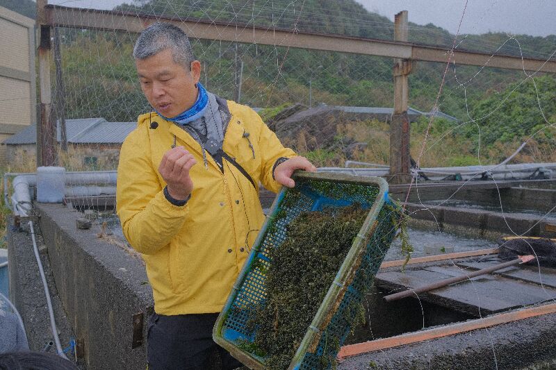 「鮮物本舖」活化既有養殖池，使民眾近距離了解海洋資源利用與永續漁業