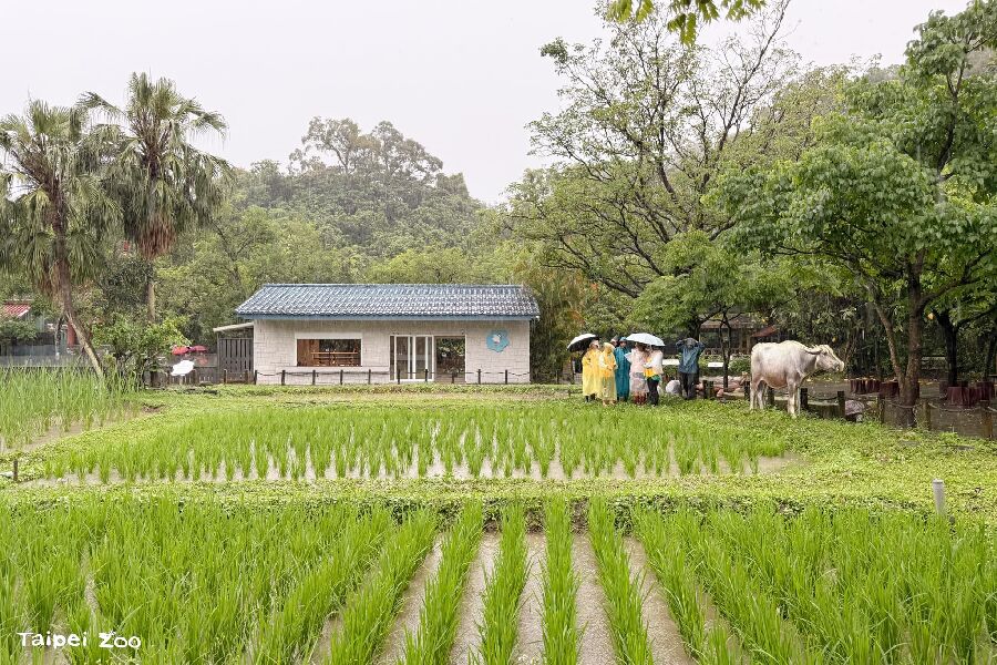 農村生態體驗營