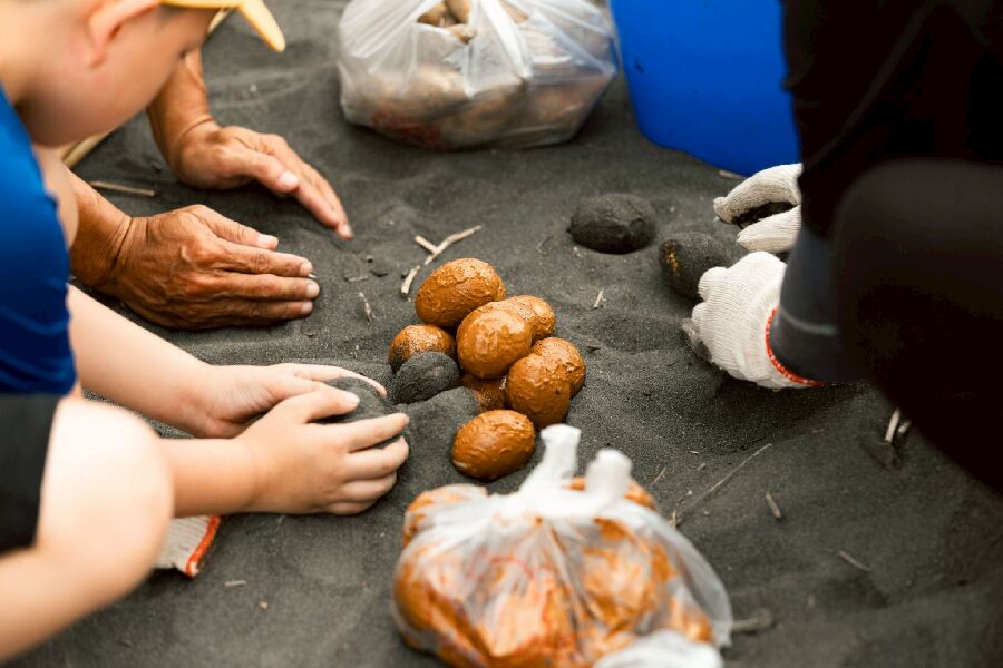 屏東塭豐社區｜新月灣控沙窯、走讀消失的稻田－從鴨蛋到海藻