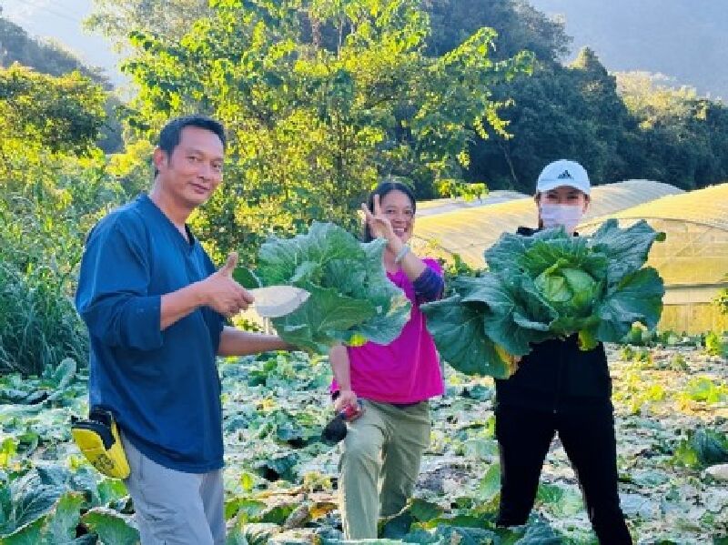 山中小採園，體驗現採蔬果