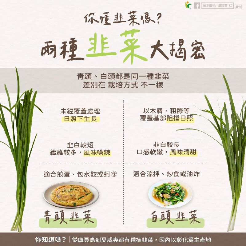 你懂韭菜嗎？兩種韭菜大揭密