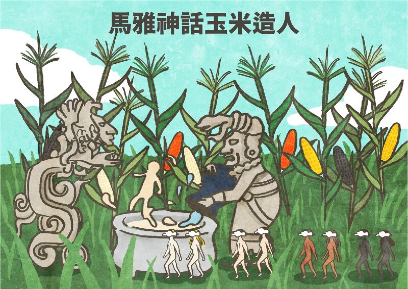 阿茲提克人相信，人類是玉米做的