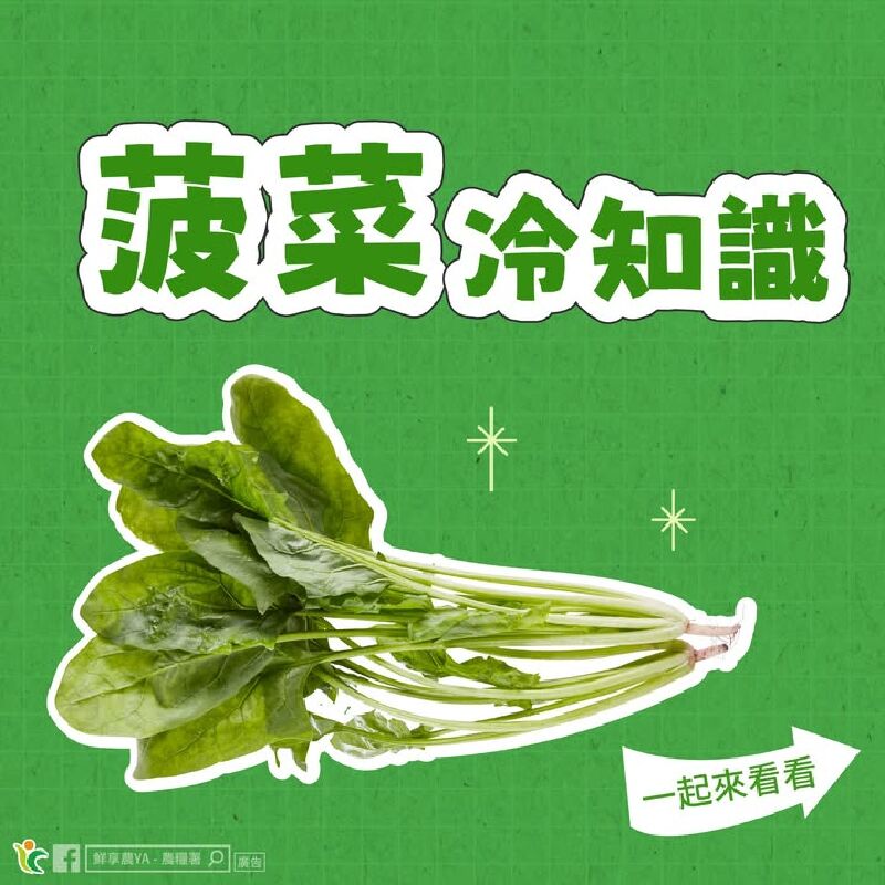 菠菜冷知識