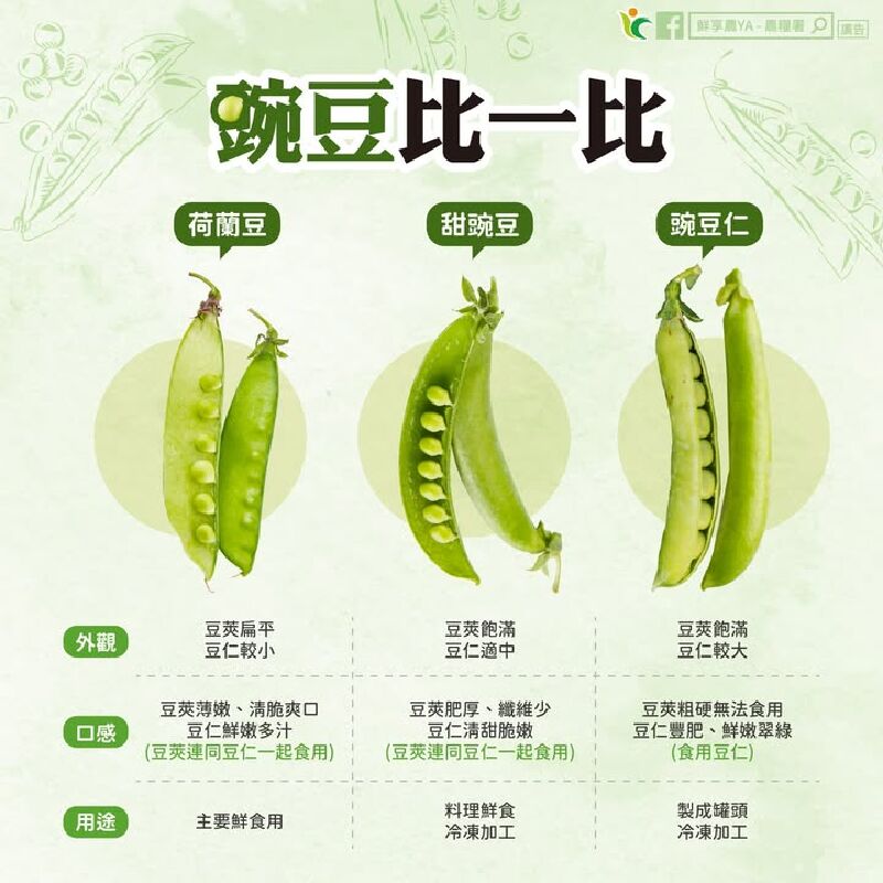 豌豆比一比