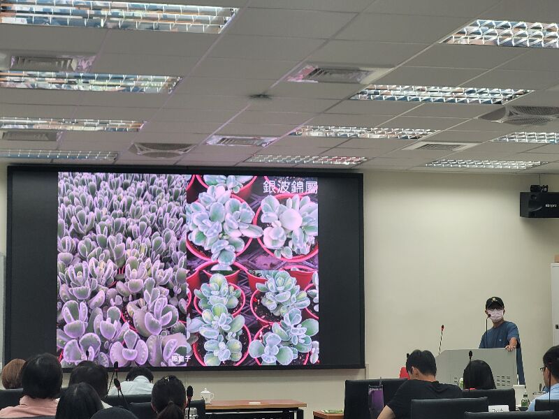 多肉植物基礎認識與栽培管理介紹