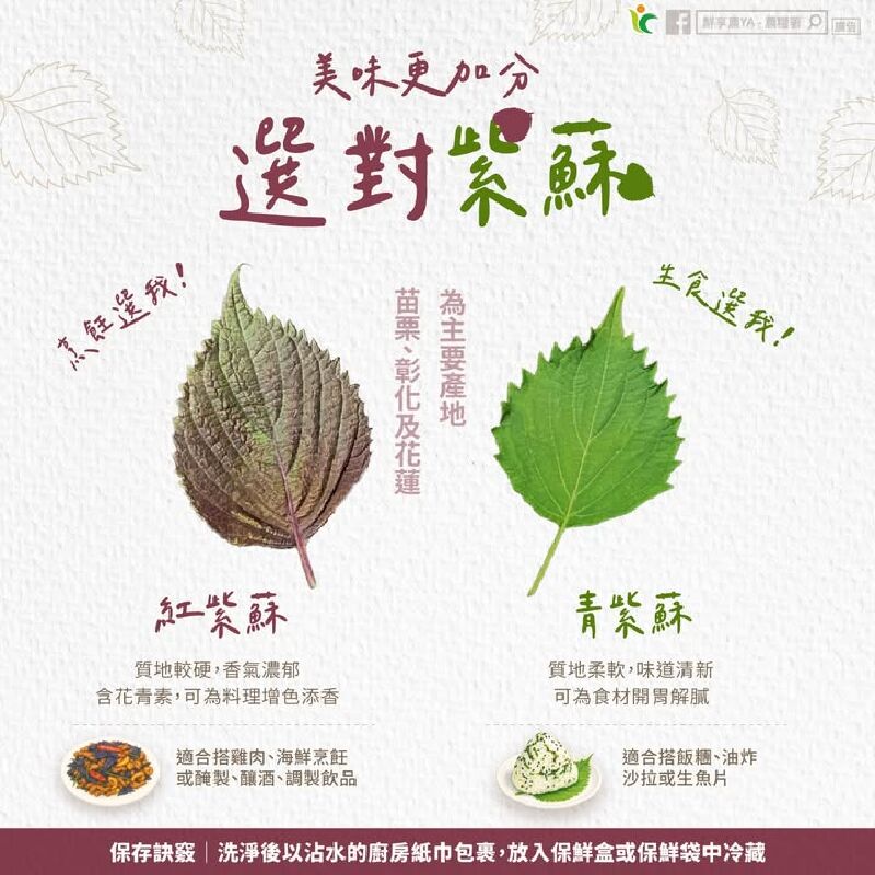 料理加分　選對紫蘇