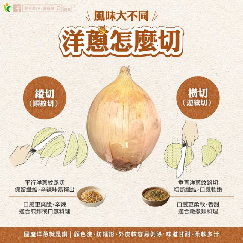 風味大不同 洋蔥怎麼切