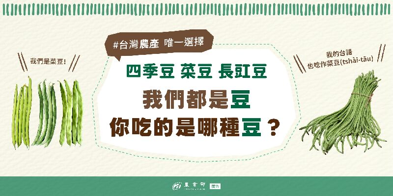 四季豆、菜豆還是長豇豆？你吃的是哪種豆？